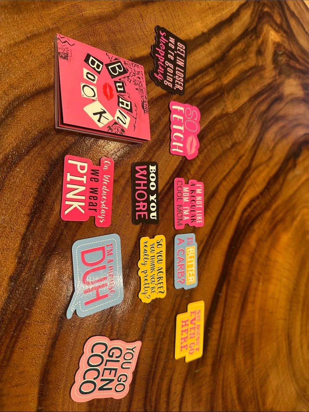 Mean Girls Magnets - Includes Mini Burn Book